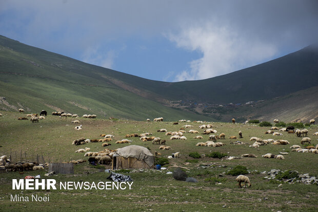 Tribal communities in E Azarbaijan receive Covid-19 vaccines
