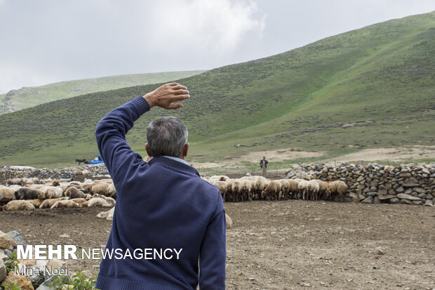 Tribal communities in E Azarbaijan receive Covid-19 vaccines
