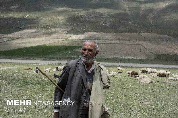 Tribal communities in E Azarbaijan receive Covid-19 vaccines
