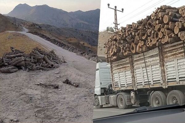 Baghdad, Erbil condemn Turkey for logging in Duhok
