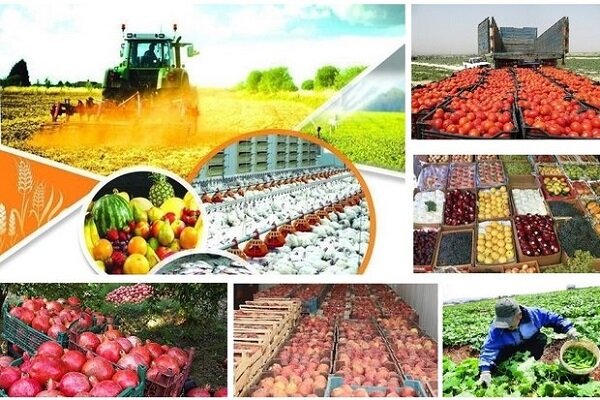 Agricultural products account for over 17% export value share
