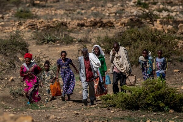 ۵ میلیون نفر در تیگرای اتیوپی نیازمند دریافت فوری غذا هستند