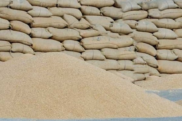 ۲۵ تن گندم قاچاق در میانه کشف شد