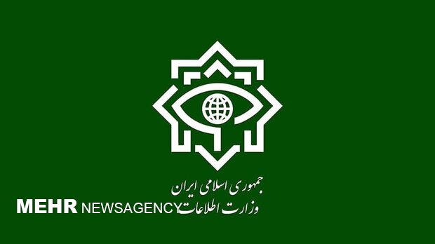 Intelligence forces detain 10 spies in south Iran