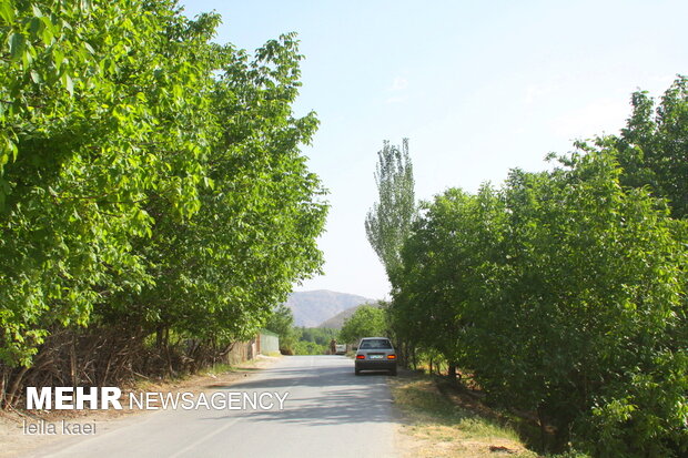 روستای هدف گردشگری«حیدرآباد» ایلام
