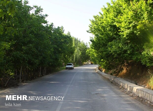 روستای هدف گردشگری«حیدرآباد» ایلام
