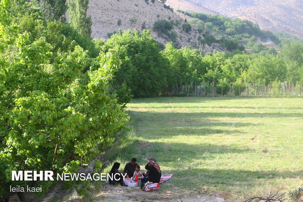 روستای هدف گردشگری«حیدرآباد» ایلام
