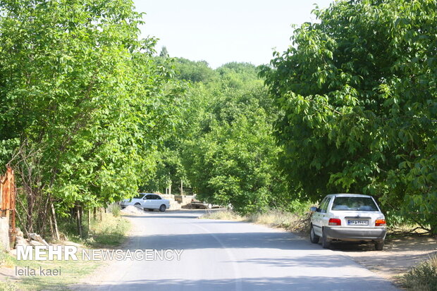 روستای هدف گردشگری«حیدرآباد» ایلام
