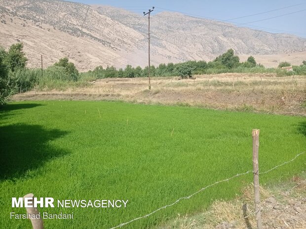 Beauties of Dah Houz Village in SW Iran
