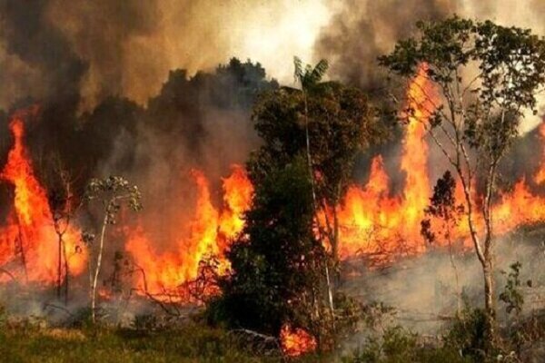 آتش‌سوزی در ۳۵ هکتار از مراتع سمیرم / اطفا حریق ۴.۵ ساعت طول کشید