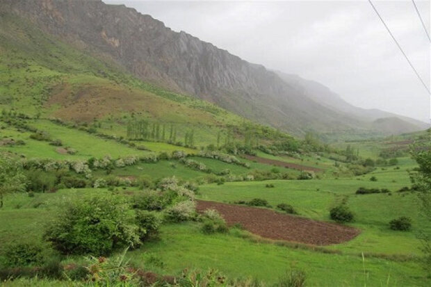  ادارات منابع طبیعی شهرستان ها قادر به پیگیری اوراق قضایی شدند