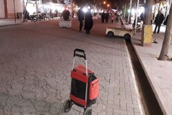 پیاده راه شهید صدوقی شاهرود راهی برای تحقق شهر انسان محور بود