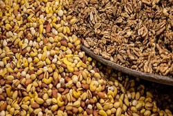Iran’s dried nuts exports hit 36% growth in current year