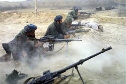 Balkh city in Afghanistan falls to Taliban: report