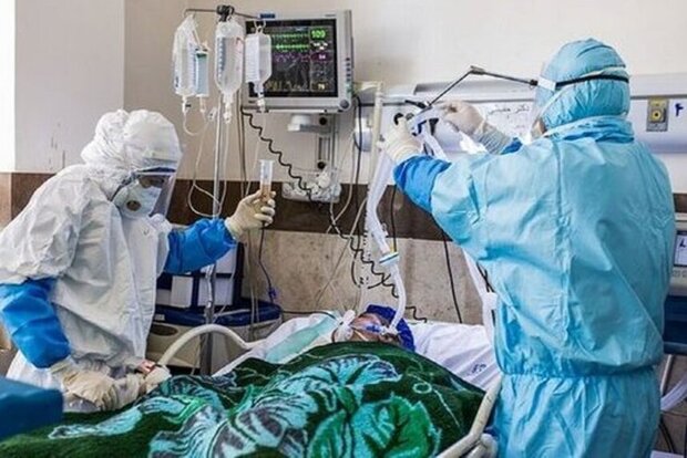  ۹۶ بیمار جدید در بخش‌های کرونایی استان بوشهر بستری شدند
