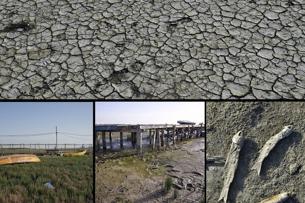  اقوام متحدہ نے پاکستان کو خشک سالی سے متاثرہ ممالک کی فہرست میں شامل کرلیا