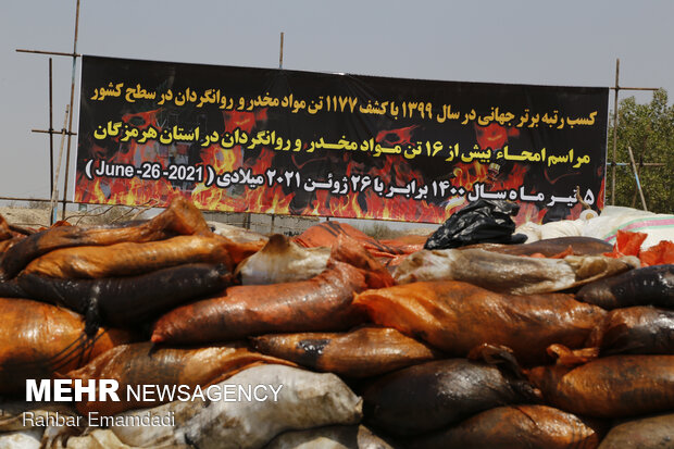 Police destroys 16 tons of illegal drugs in S Iran