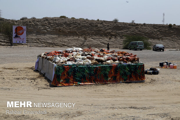 Police destroys 16 tons of illegal drugs in S Iran