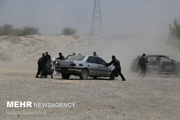 Police destroys 16 tons of illegal drugs in S Iran