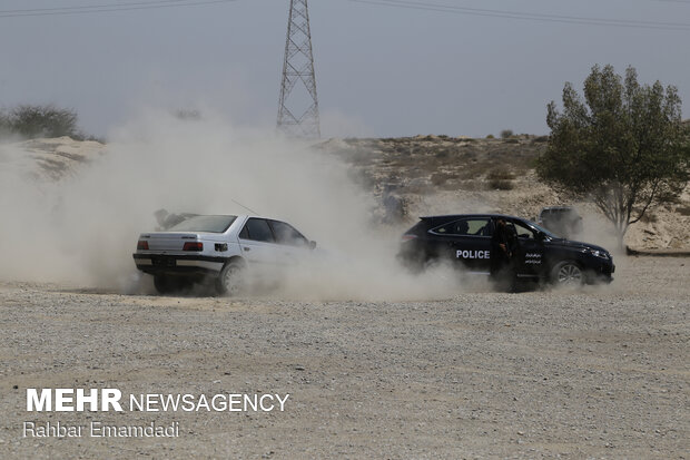 Police destroys 16 tons of illegal drugs in S Iran