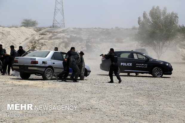 Police destroys 16 tons of illegal drugs in S Iran