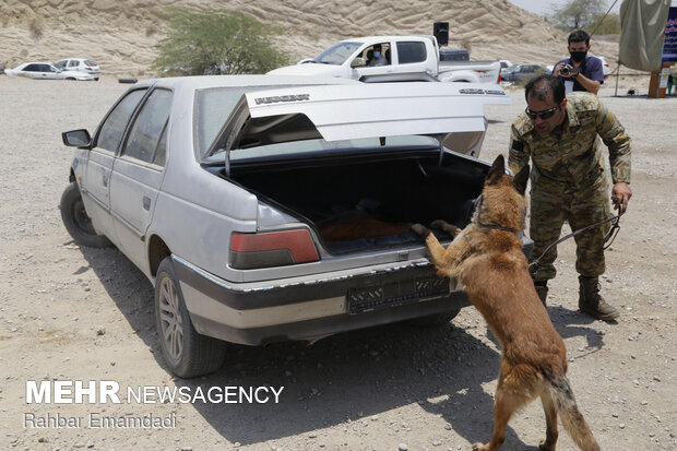 Police destroys 16 tons of illegal drugs in S Iran