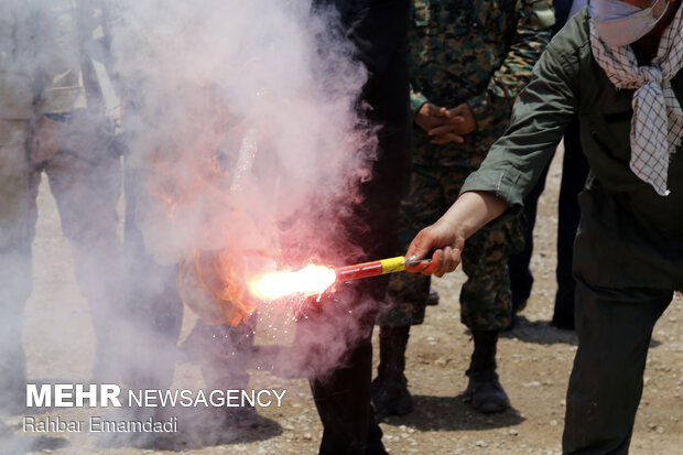 Police destroys 16 tons of illegal drugs in S Iran