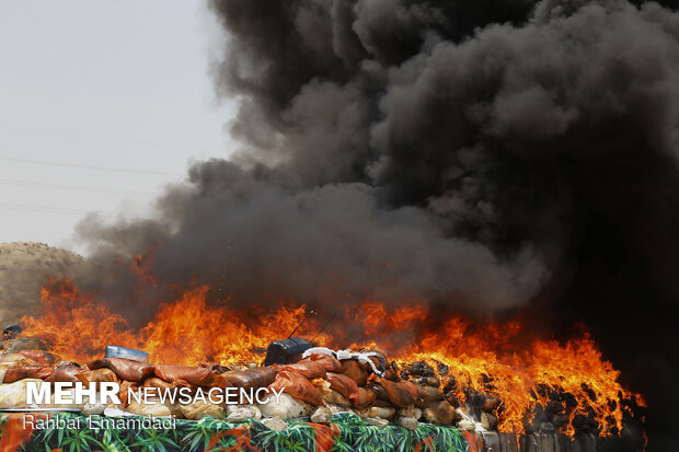 Police destroys 16 tons of illegal drugs in S Iran