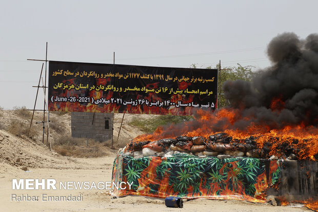 Police destroys 16 tons of illegal drugs in S Iran