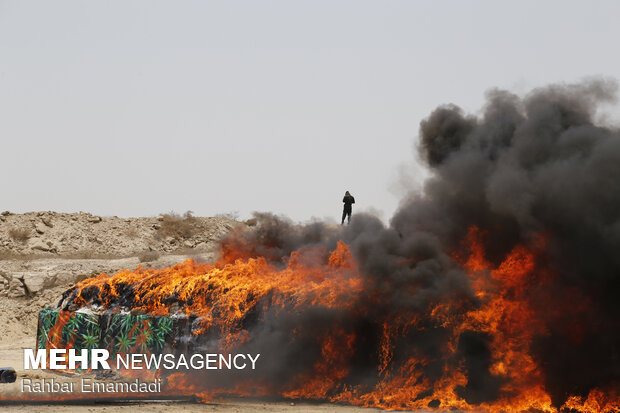 Police destroys 16 tons of illegal drugs in S Iran