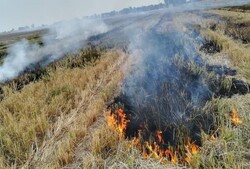 ادامه آتش سوزی مزارع در ایذه/ ۱۵ هکتار زمین کشاورزی خاکستر شد