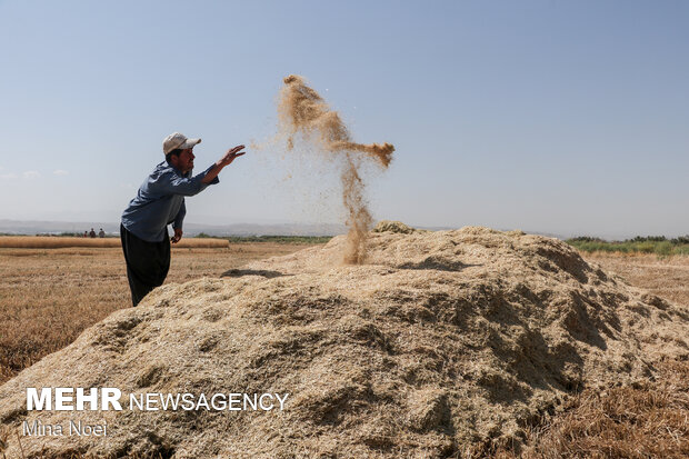ماجرای عجیب یک روستا در نزدیکی کرمان/ ۴۰ سال تلاش به باد می‌رود