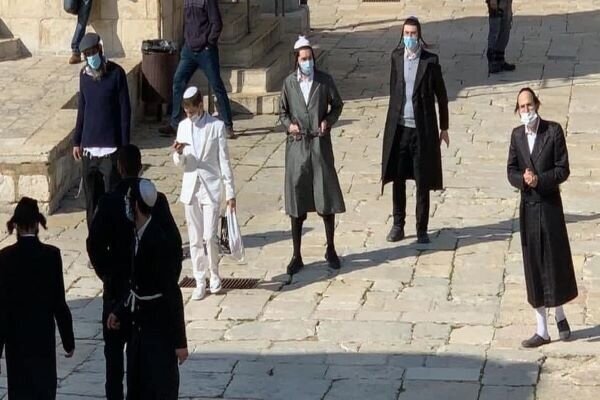 Zionist settlers attack Al-Aqsa Mosque in occupied lands