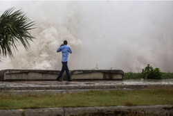Tropical storm Elsa batters Florida