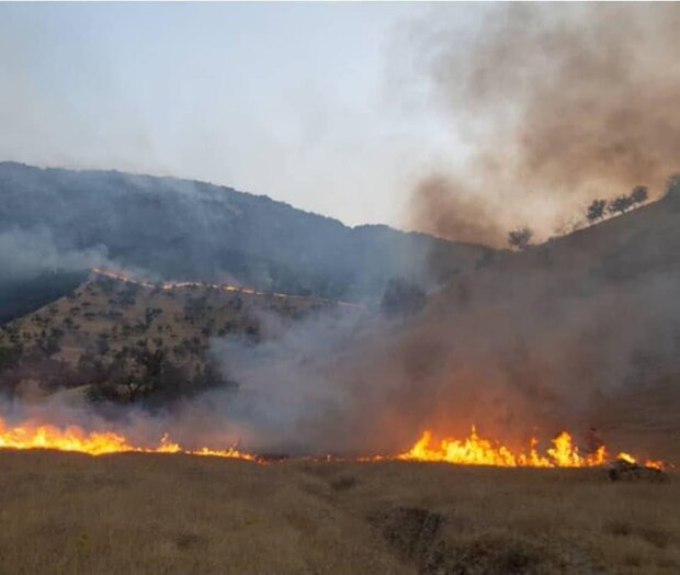 اعزام بالگرد جهت مهار آتش‌سوزی در مراتع استان‌های فارس و کردستان