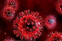 ۸۸۷ نفر در آذربایجان غربی به ویروس کرونا مبتلا شدند
