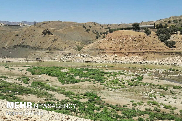 موتورهای پمپ غیرمجاز نیروی زندگی کشکان ها را جذب می کنند