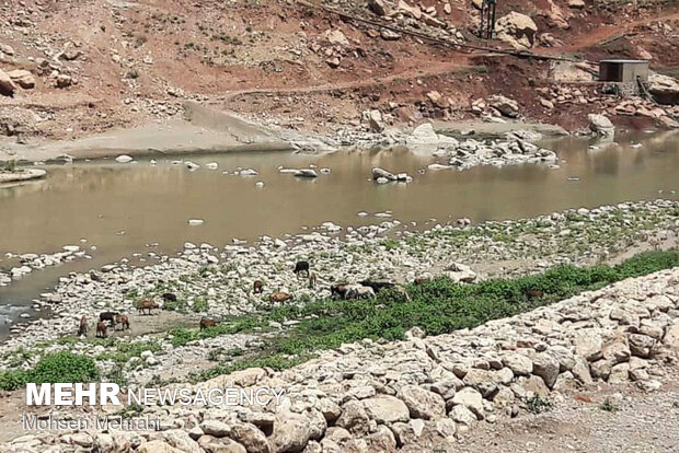 «کشکان» رو به پایان