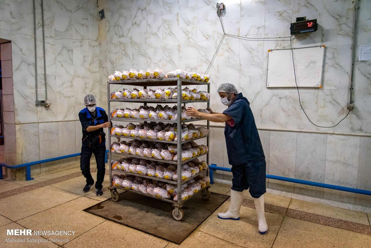 افزایش ۱۰ تا ۱۵ درصدی تولید گوشت مرغ در استان تهران هدف گذاری شد
