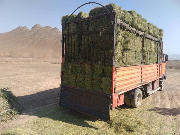 کشف چمدان‌های قاچاق از زیر بار علوفه