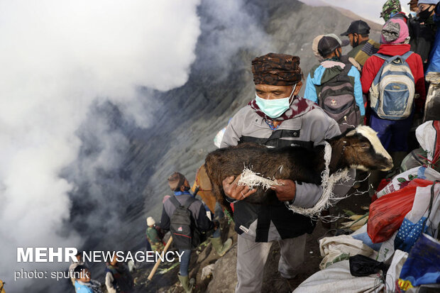 جذاب ترین عکس های هفته گذشته در جهان