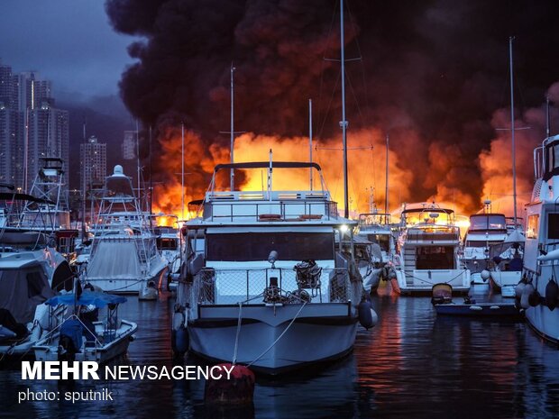 جذاب ترین عکس های هفته گذشته در جهان