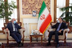 سفیر روسیه در تهران با امیر عبداللهیان دیدار کرد