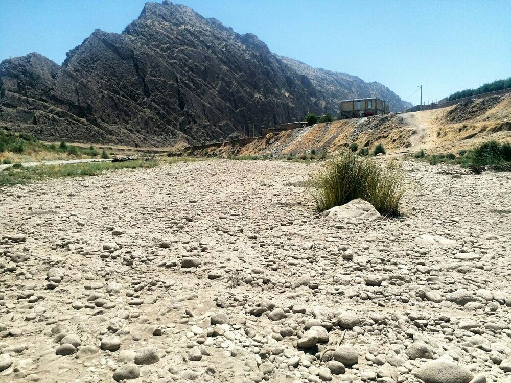 خشک شدن رودخانه چرداول بر اثر خشکسالی/ هزاران آبزی از بین رفت