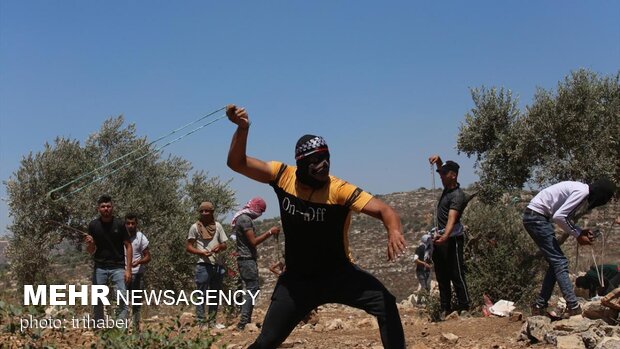 زخمی شدن ده‌ها فلسطینی در حمله صهیونیست‌ها