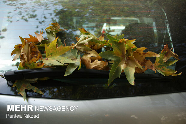 Early autumn in Tehran