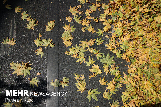 Early autumn in Tehran