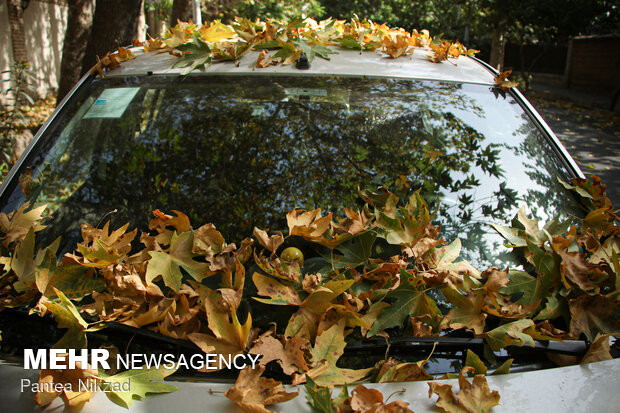 Early autumn in Tehran