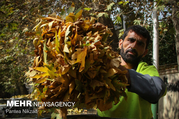 Early autumn in Tehran