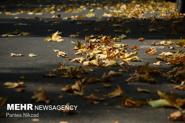 Early autumn in Tehran